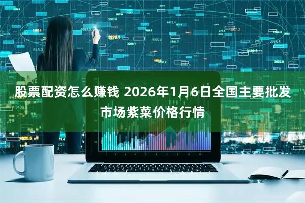 股票配资怎么赚钱 2026年1月6日全国主要批发市场紫菜价格行情